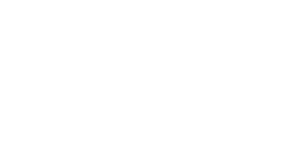 Wordpress - Ecosistema digital